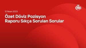 Özet Döviz Pozisyon Raporu Sıkça Sorulan Sorular