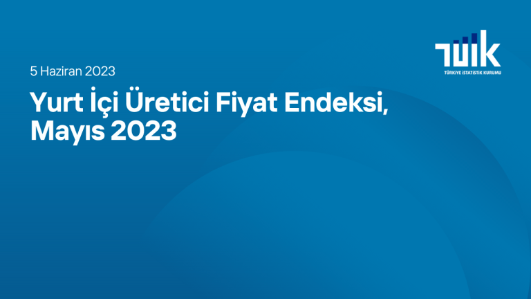 Yurt İçi Üretici Fiyat Endeksi, Mayıs 2023