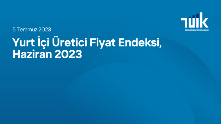 Yurt İçi Üretici Fiyat Endeksi, Haziran 2023