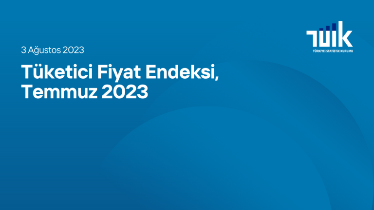 Tüketici Fiyat Endeksi, Temmuz 2023