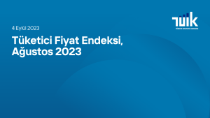 Tüketici Fiyat Endeksi Ağustos 2023
