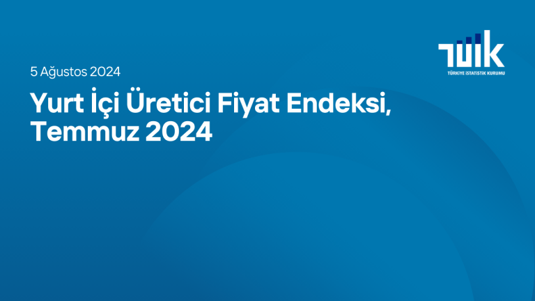 Yurt İçi Üretici Fiyat Endeksi, Temmuz 2024