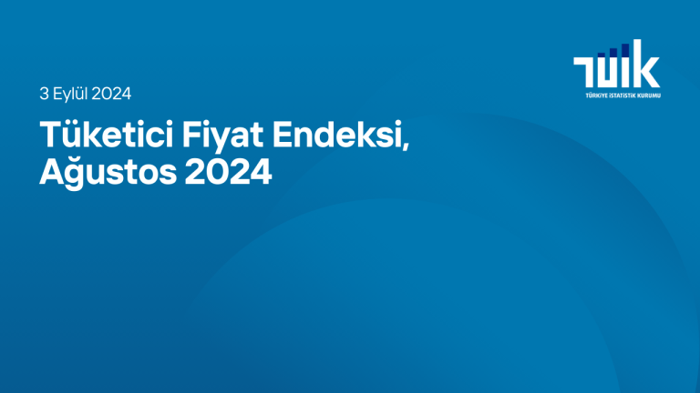 Tüketici Fiyat Endeksi, Ağustos 2024