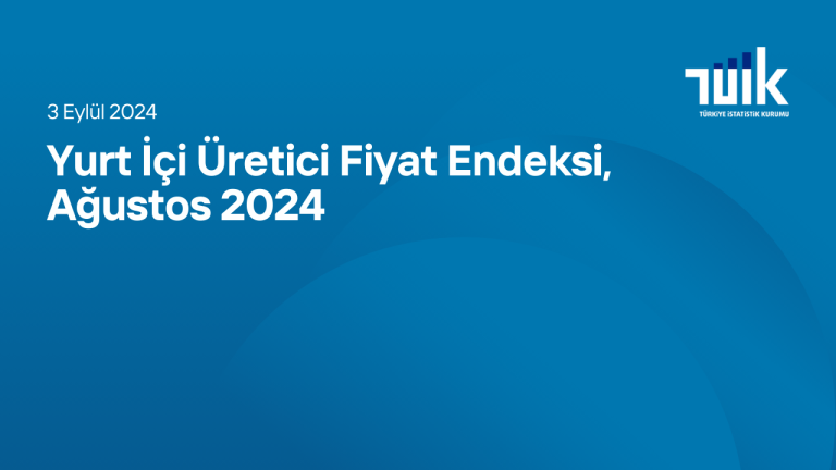 Yurt İçi Üretici Fiyat Endeksi, Ağustos 2024