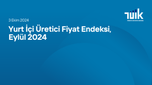 Yurt İçi Üretici Fiyat Endeksi, Eylül 2024