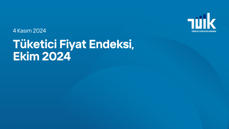 Tüketici Fiyat Endeksi, Ekim 2024