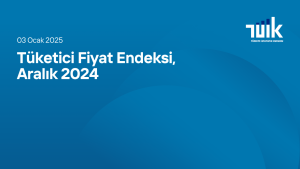 Tüketici Fiyat Endeksi, Aralık 2024