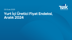 Yurt İçi Üretici Fiyat Endeksi, Aralık 2024