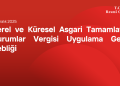 Yerel ve Küresel Asgari Tamamlayıcı Kurumlar Vergisi Uygulama Genel Tebliği