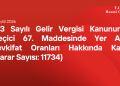 ck_karar sayısı 11734